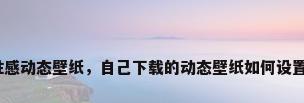 性感动态壁纸，自己下载的动态壁纸如何设置？