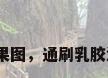 乳胶漆电视背景墙效果图，通刷乳胶漆电视墙选什么颜色？
