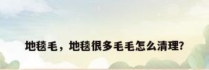 地毯毛，地毯很多毛毛怎么清理？