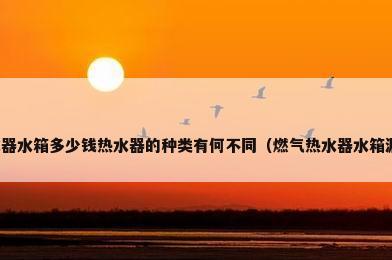 燃气热水器水箱多少钱热水器的种类有何不同（燃气热水器水箱漏水原因）
