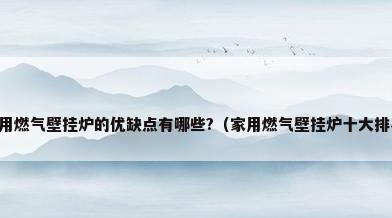 家用燃气壁挂炉的优缺点有哪些?（家用燃气壁挂炉十大排名）