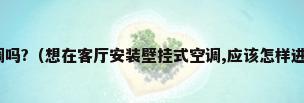 客厅可以用挂式空调吗?（想在客厅安装壁挂式空调,应该怎样进行选购呢?需要注意什么?）