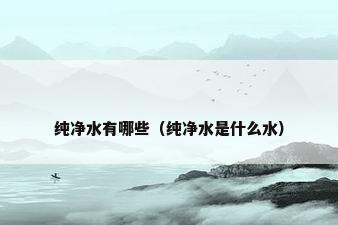 纯净水有哪些（纯净水是什么水）