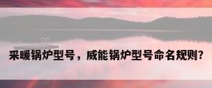 采暖锅炉型号，威能锅炉型号命名规则？