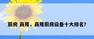 厨房 商用，商用厨房设备十大排名？