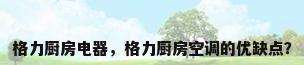 格力厨房电器，格力厨房空调的优缺点？