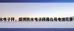 防水电子秤，盛博防水电子秤用几号电池几多个？