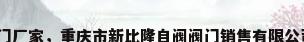 重庆阀门厂家，重庆市新比隆自阀阀门销售有限公司介绍？