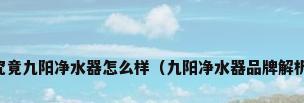 究竟九阳净水器怎么样（九阳净水器品牌解析）