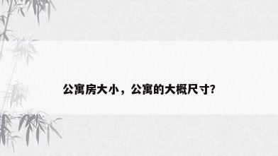 公寓房大小，公寓的大概尺寸？