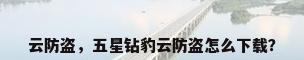 云防盗，五星钻豹云防盗怎么下载？