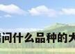 大理石洗漱台面，请问什么品种的大理石适合做洗手台？