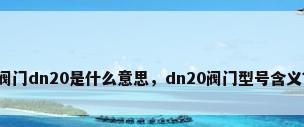 阀门dn20是什么意思，dn20阀门型号含义？