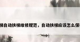 电梯自动扶梯维修规范，自动扶梯应该怎么保养？