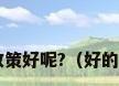 哪个实木地暖地板加盟品牌的政策好呢?（好的实木地热地板加盟品牌有哪些?）
