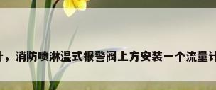 消防水流量计，消防喷淋湿式报警阀上方安装一个流量计有什么作用？