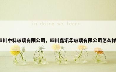 四川中科玻璃有限公司，四川鑫诺华玻璃有限公司怎么样？