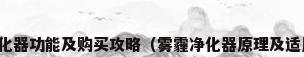 雾霾空气净化器功能及购买攻略（雾霾净化器原理及适用人群盘点）