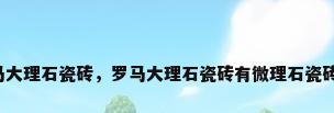 罗马大理石瓷砖，罗马大理石瓷砖有微理石瓷砖吗？