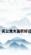 大面积公寓，买公寓大面积好还是小面积好？