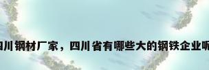 四川钢材厂家，四川省有哪些大的钢铁企业呢？