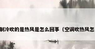 空调开制冷吹的是热风是怎么回事（空调吹热风怎么回事）