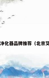 北京油烟净化器智能空气净化器品牌推荐（北京艾派蓝油烟净化器怎么样?）