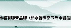 天然气热水器有哪些品牌（热水器天然气热水器品牌有哪些）