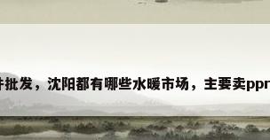 ppr管材管件批发，沈阳都有哪些水暖市场，主要卖ppr管件的市场？