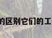 空气压缩式制冷和吸收式制冷机的区别它们的工作原理是什么你能想到哪些...（8匹空气能是制热还是制冷的）