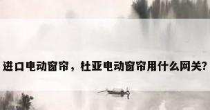 进口电动窗帘，杜亚电动窗帘用什么网关？