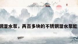 不锈钢潜水泵，两百多块的不锈钢潜水泵能用吗？