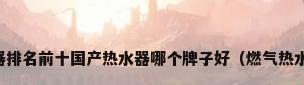 国产燃气热水器排名前十国产热水器哪个牌子好（燃气热水器哪个牌子好）