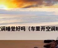 在车内开空调睡觉好吗（车里开空调睡觉会死吗）