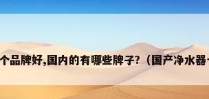 净水器哪个品牌好,国内的有哪些牌子?（国产净水器十大名牌）