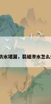 裂缝防水堵漏，裂缝渗水怎么处理？
