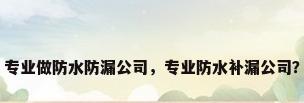 专业做防水防漏公司，专业防水补漏公司？