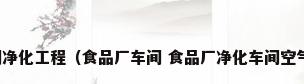 什么是无尘车间净化工程（食品厂车间 食品厂净化车间空气净化方式介绍）