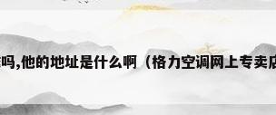 格力空调有官方商城吗,他的地址是什么啊（格力空调网上专卖店有哪些?哪些比较好?）