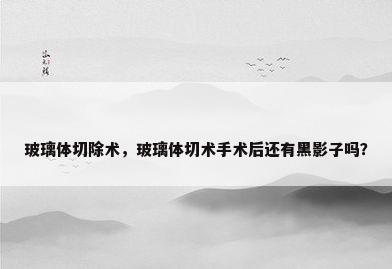 玻璃体切除术，玻璃体切术手术后还有黑影子吗？