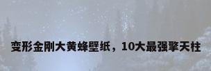 变形金刚大黄蜂壁纸，10大最强擎天柱