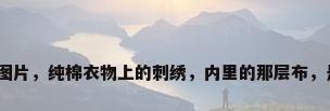 布艺刺绣图片，纯棉衣物上的刺绣，内里的那层布，是什么布？