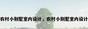 农村小别墅室内设计，农村小别墅室内设计