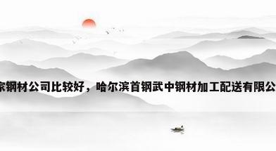 哈尔滨哪家钢材公司比较好，哈尔滨首钢武中钢材加工配送有限公司怎么样？