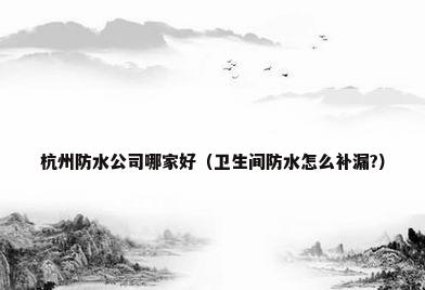 杭州防水公司哪家好（卫生间防水怎么补漏?）