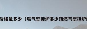 燃气壁挂炉价格是多少（燃气壁挂炉多少钱燃气壁挂炉的使用方法）