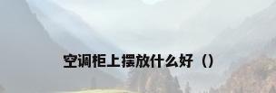 空调柜上摆放什么好（）