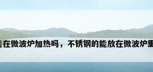 不锈钢能在微波炉加热吗，不锈钢的能放在微波炉里加热吗？