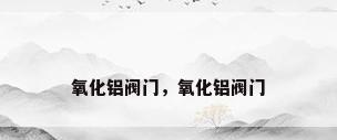 氧化铝阀门，氧化铝阀门