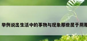 阴阳壁纸，举例说出生活中的事物与现象那些属于阴那些属于阳？